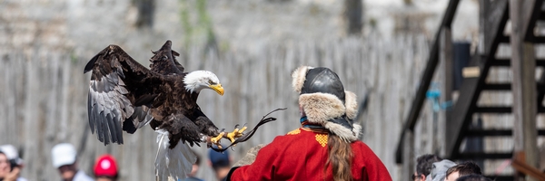 Image Les Aigles des Remparts